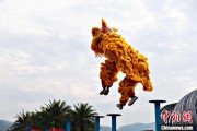 四柱排盘（文化中国行）壮乡狮舞闯南洋：脚踏“云桩” 饮誉海内外